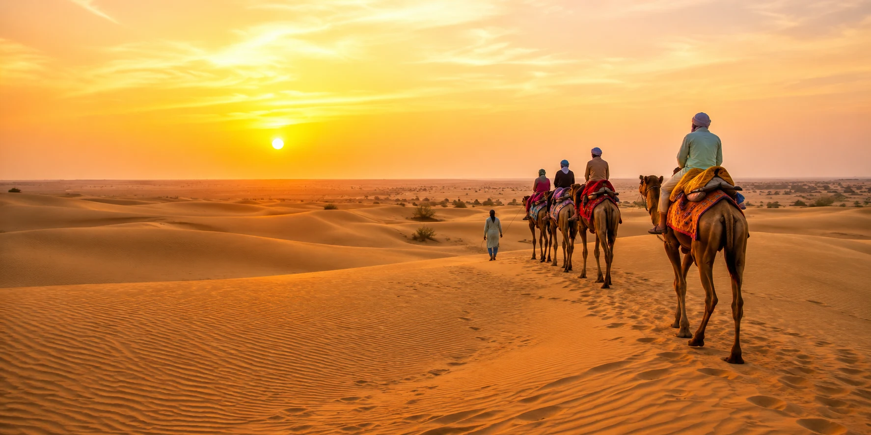 Camel safari at golden sand dunes during sunset on a Rajasthan desert tour in Jaisalmer